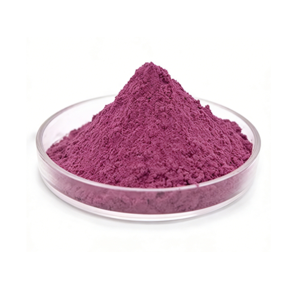 Elderberry Powder