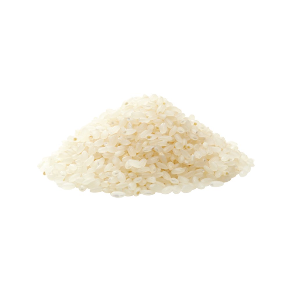 Oryza sativa rice protein powder macro photography