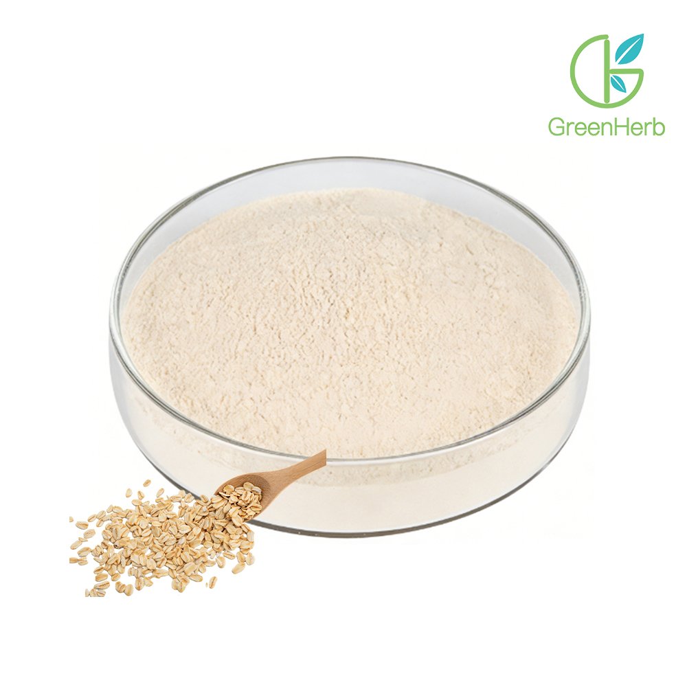 Oat Protein Powder close‑up texture detail