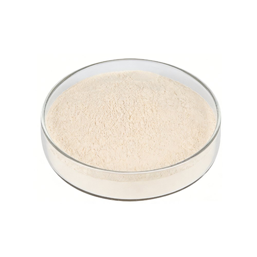 Light cream‑yellow Oat Protein Powder fine powder detail