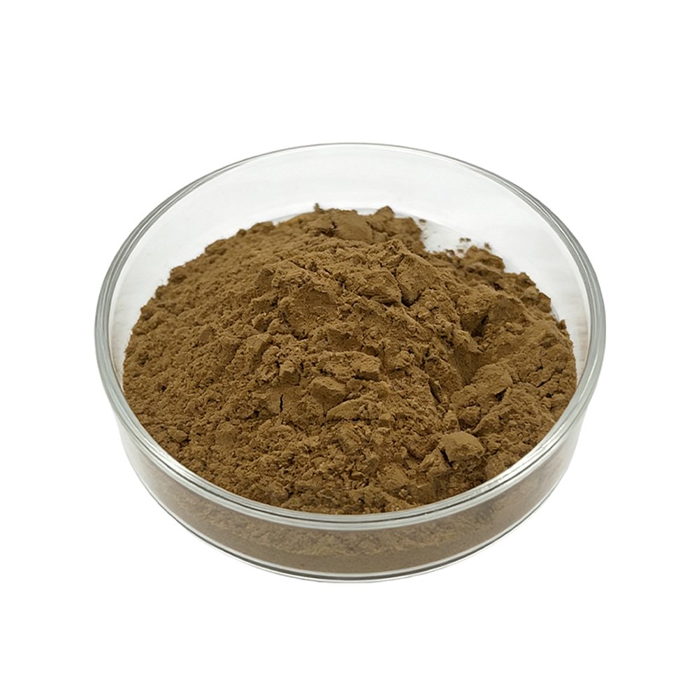 Fine Olive Leaf Extract powder detail