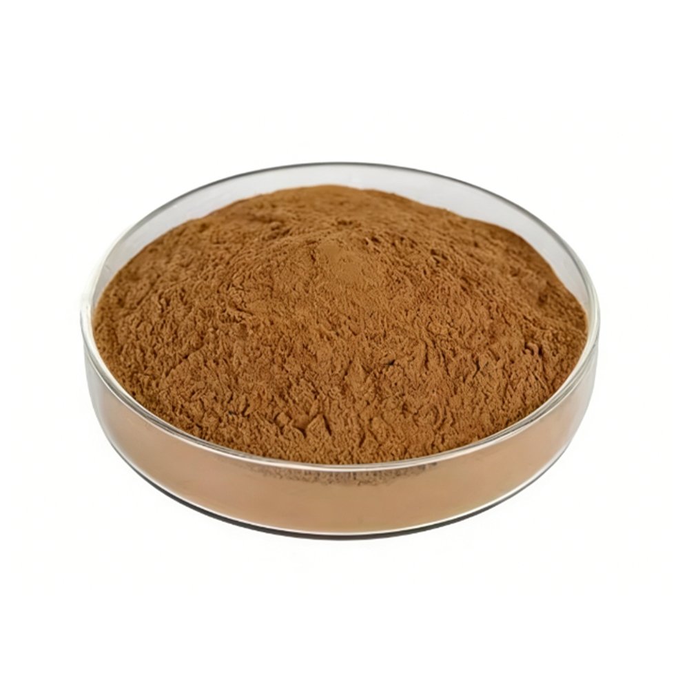Bulk Schisandra Extract packaged in fiber drums